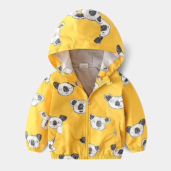 Yellow Koala
