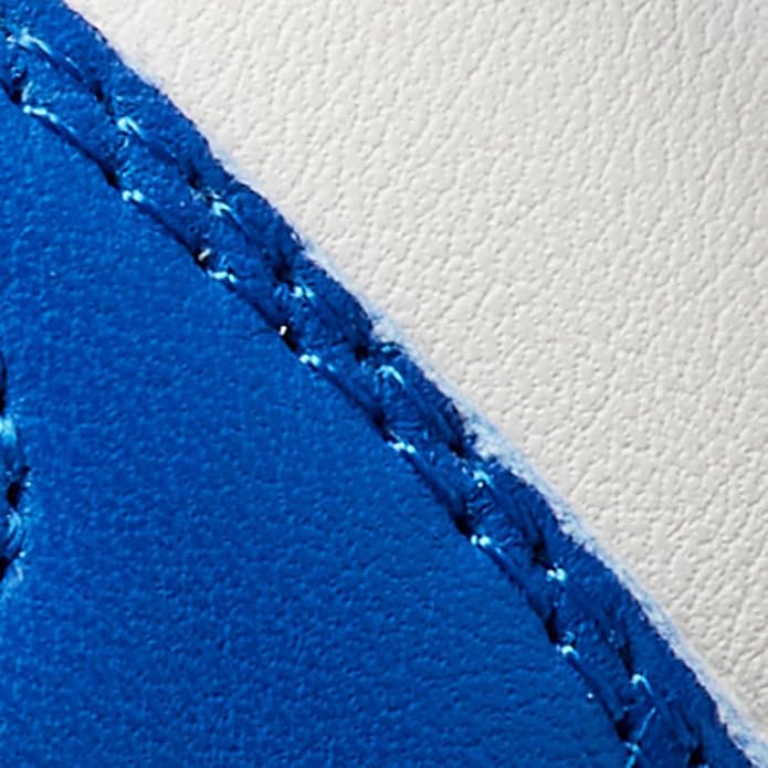 Blue/White
