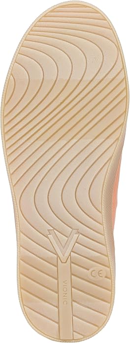 Shell Coral Canvas