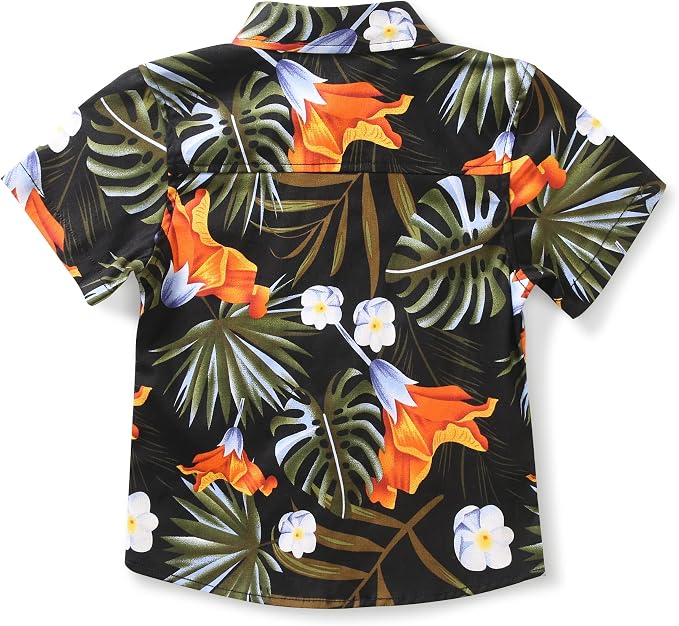Monstera Black