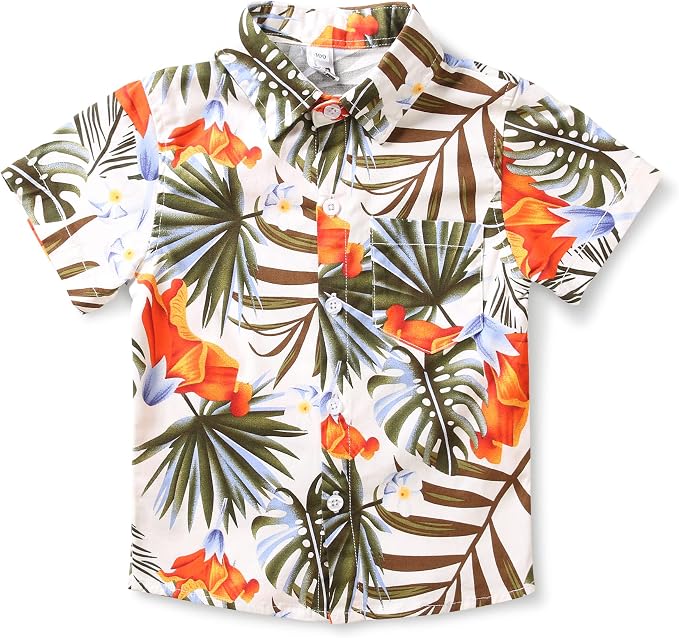 Monstera White