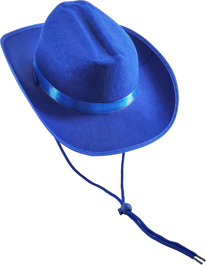 Blue Cowboy Hat