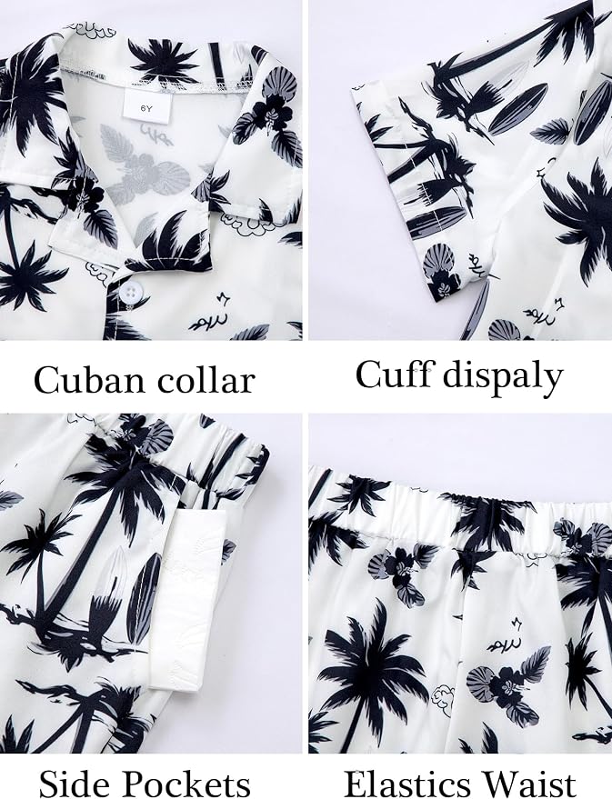 White-palm Tree