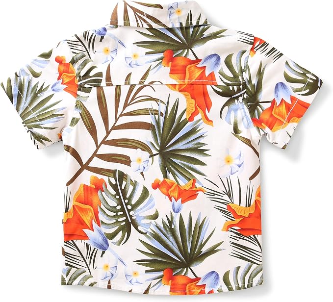 Monstera White