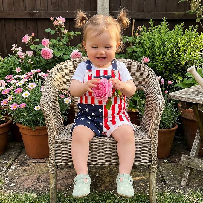 Usa Flag-star
