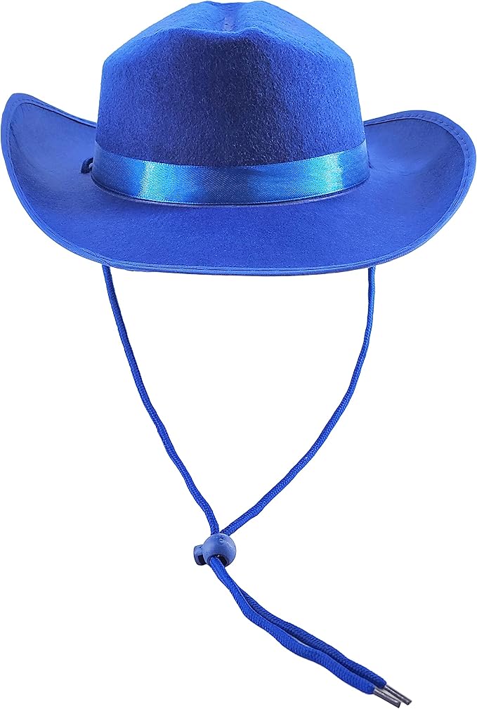 Blue Cowboy Hat