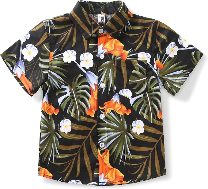 Monstera Black