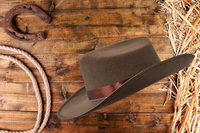 Dark Brown Cowboy Hat