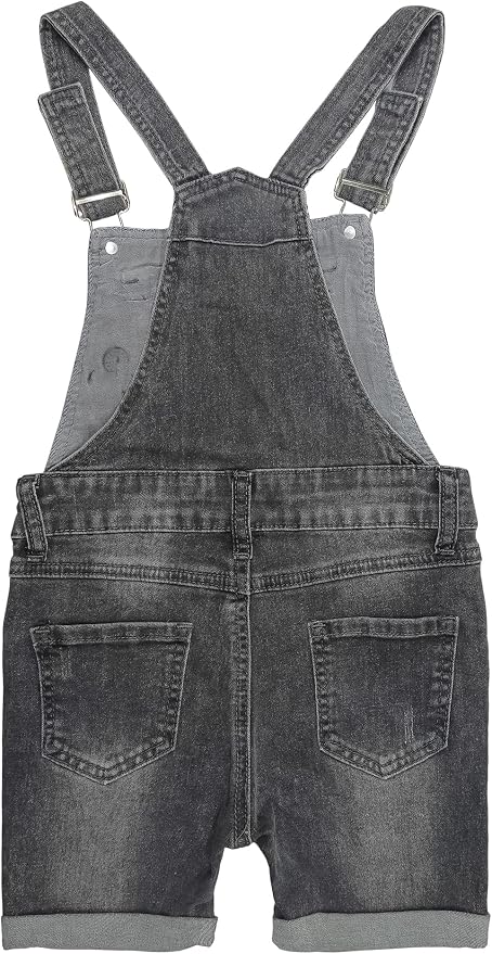 Grey-2493