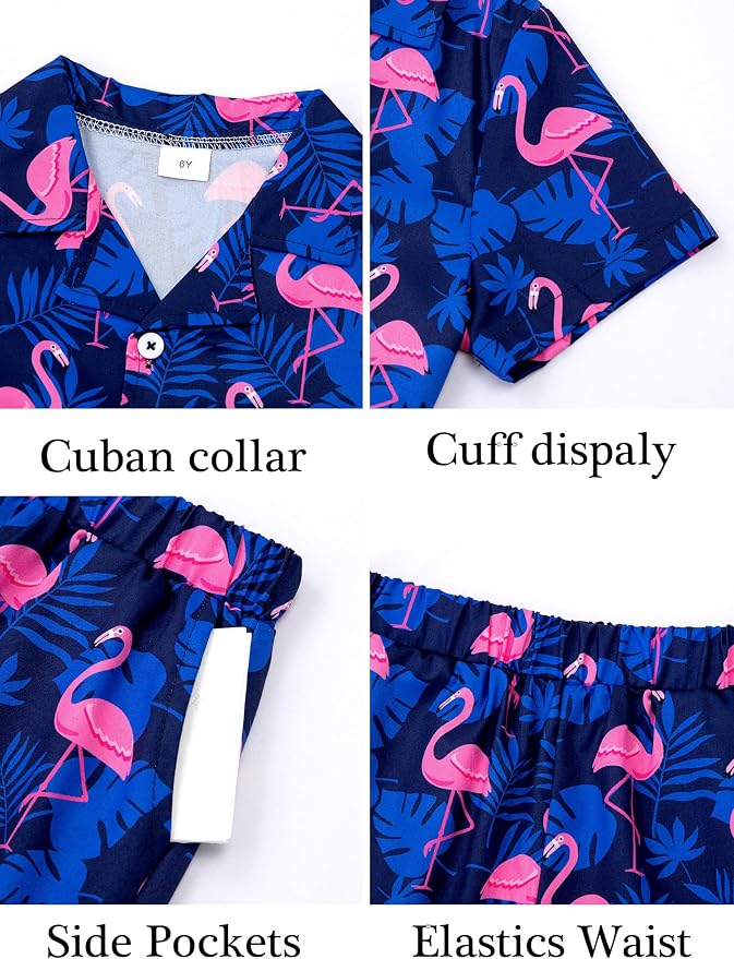 Navy Blue-flamingo
