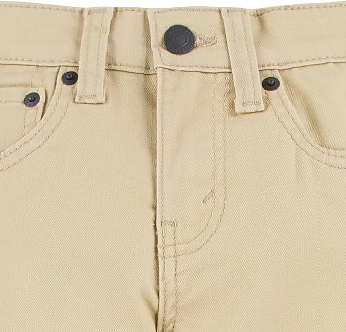Pale Khaki