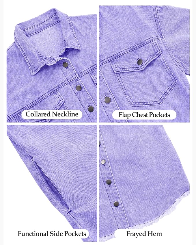 Aster Purple