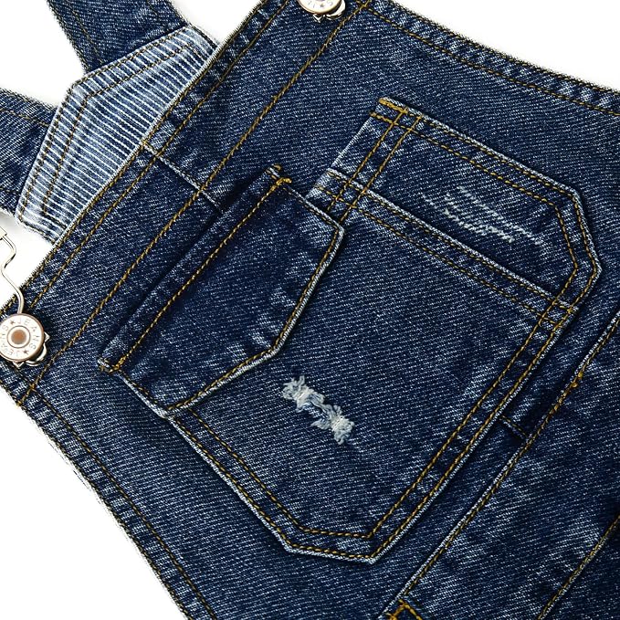 Deepblue-2506